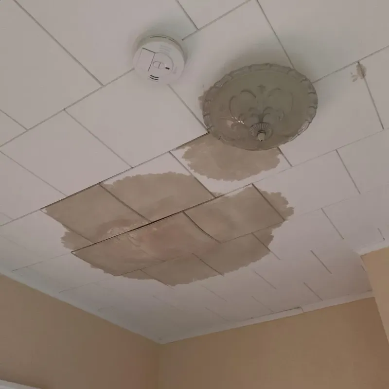 Ceiling Water Damage Repair in Carlisle, AR